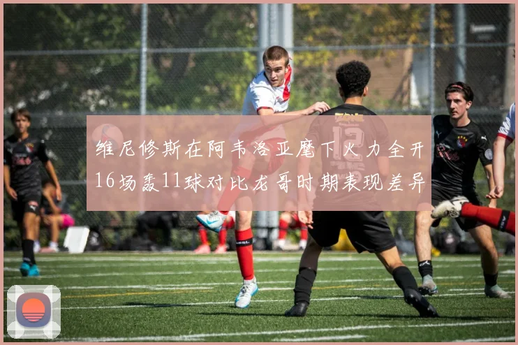 维尼修斯在阿韦洛亚麾下火力全开16场轰11球对比龙哥时期表现差异明显
