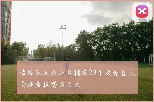 黄蜂队未来七年拥有20个次轮签交易选秀权潜力巨大