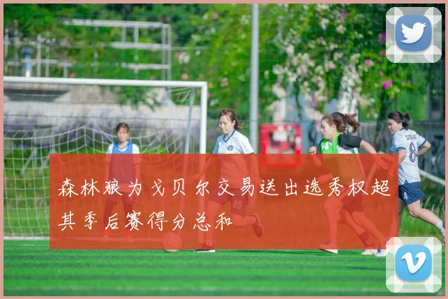 森林狼为戈贝尔交易送出选秀权超其季后赛得分总和